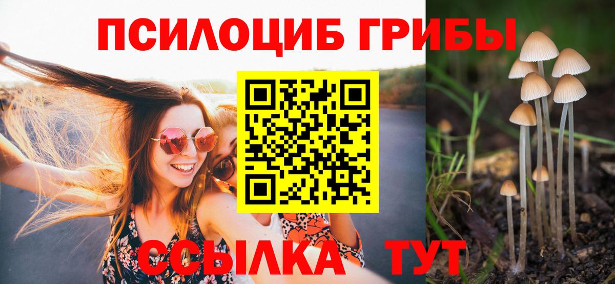 Псилоцибиновые грибы Magic Shrooms Хабаровск